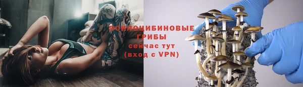 прущие крисы Абдулино
