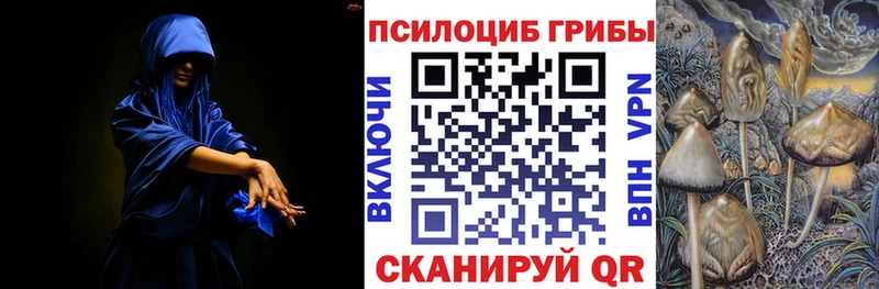 Псилоцибиновые грибы Psilocybine cubensis Шилка